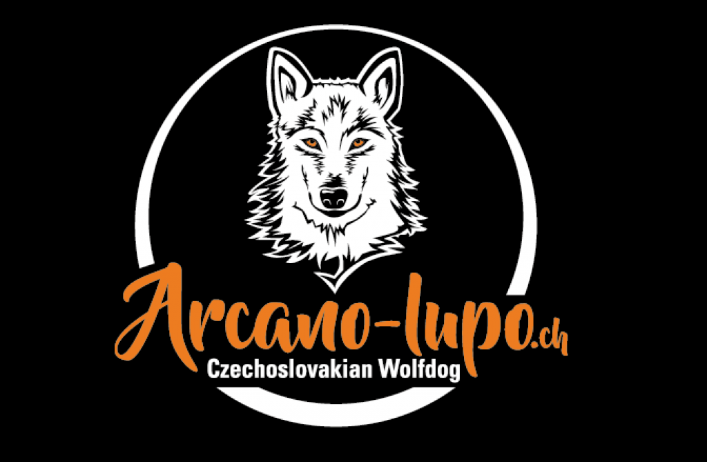 logo_arcano
